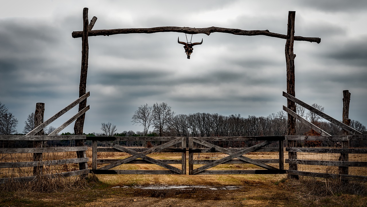 Texas Landscape